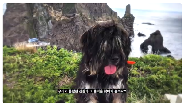 한국어 영상의 주요 장면(사진_'독도지킴이! 토종 삽살개' 유튜브 영상 캡처)