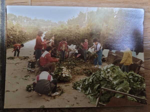 덕성원에서 아동들이 농작물을 캐며 노동하는 모습.(사진_안종환 대표 제공)