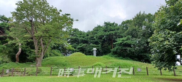 강희맹 사위 권만형 종중 묘소_안동권씨 화천군파 종중 묘소(사진_안나겸 기자)