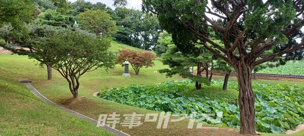 방지원도형 연못(네모_둥근형)(사진_안나겸 기자)