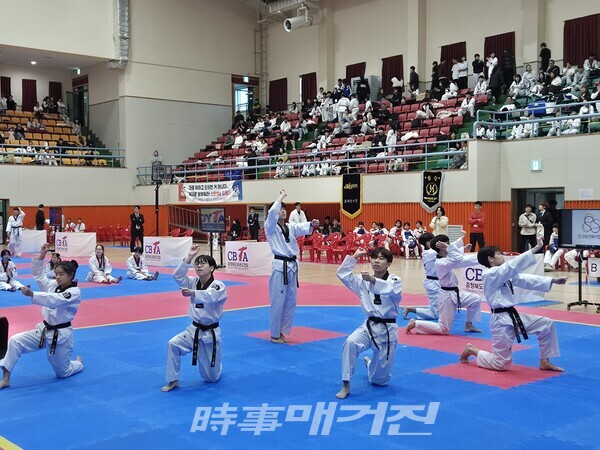 태권체조를 경연하고 있는 품사랑 (사진_이성만 기자)