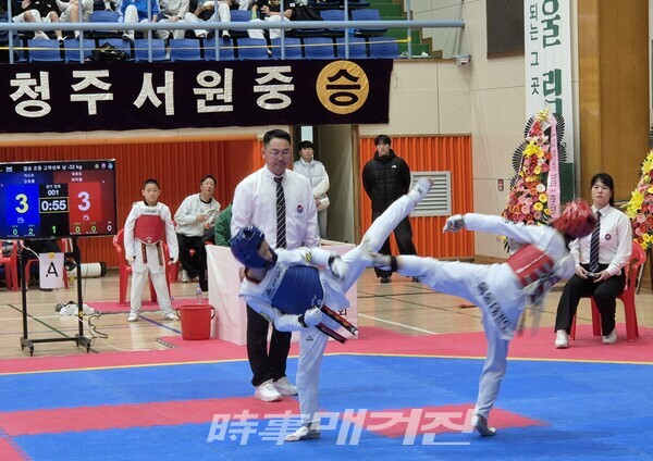 남자 초등부 고학년부 A조 핀급 결승 청 개신초등학교 김동율, 홍 옥동초등학교 최지원 주심 임만수 심팡원 (사진_이성만 기자)