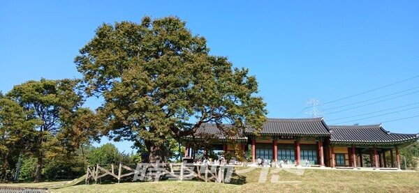 안산읍성 전경(사진_안나겸 기자)