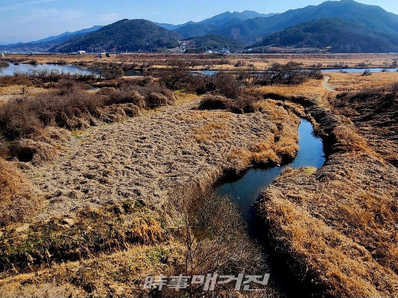 [포토에세이] 섬진강 침실 습지