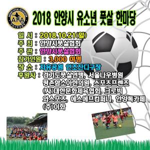 안양시풋살협회,2018 안양시 유소년 풋살 한마당 개최 - 뉴스 썸네일 이미지