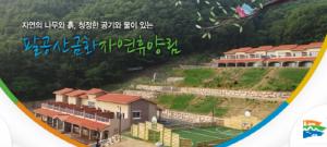팔공산금화자연휴양림 이미지