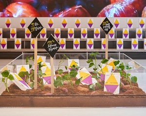 컨비니, 먹거리 재해석한 오브제 전시 내세운 '컨비니 그로서리 스토어' 오픈 - 뉴스 썸네일 이미지