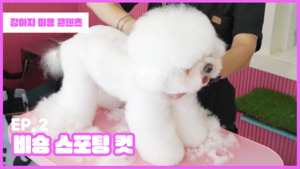 미용천하 이미지