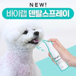 바이랩, 강아지 입냄새 및 치석 제거 돕는 뿌리는 치약 '덴탈 스프레이... - 뉴스 썸네일 이미지