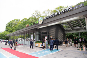 글로벌융합교육서비스협회 이미지