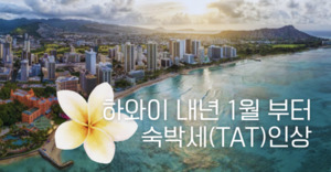김진홍부동산 이미지